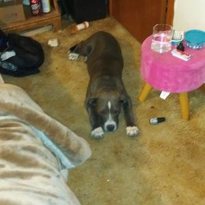 Meet your Posher, Kelly